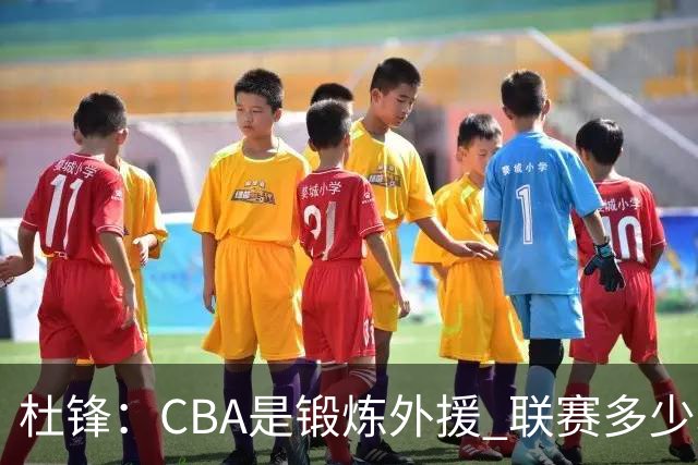 杜锋：CBA是锻炼外援 联赛多少场也没用 国家队后卫支配球机会很小