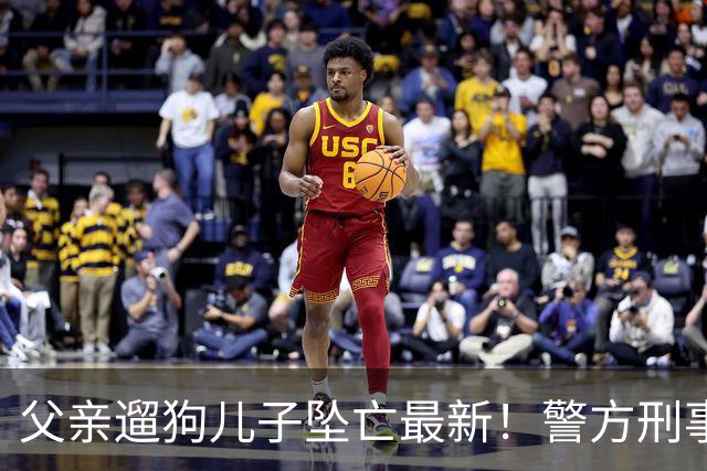 父亲遛狗儿子坠亡最新！警方刑事立案，母亲曝光铁证，果然有阴谋